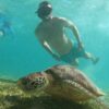 Penyu Hijau, Ikan, dan Patung Sepasang Kekasih di Gili Tramena